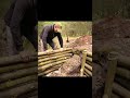 🔥 Cozy Underground Dugout | Survival Bushcraft Log Cabin & Wood Oven 🏕️ #Survival #Bushcraft