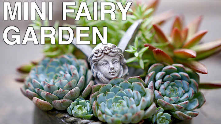 Mini Fairy Garden with Succulents - DayDayNews