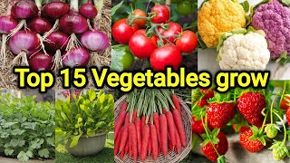 Easy 15 Vegetables you can grow at home, Small space vegetables ideas