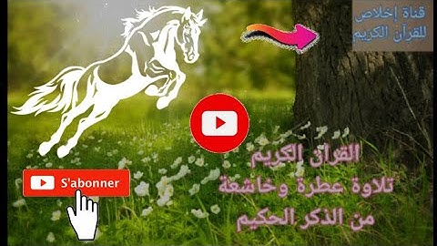 القرآن الكريم تلاوة خاشعة لآيات بينات من الذكر الحكيم. (M.Med)