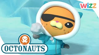 @Octonauts  The Coldest Place on Earth? | Wizz | Cartoons for Kids