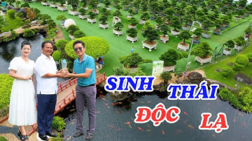 Đại gia chi cả núi tiền để sở hữu những cây cảnh độc đáo nhất Việt Nam - ĐỘC LẠ BÌNH DƯƠNG