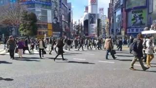 Fire Truck Responds Through Crowds At Busy Shibuya Intersection
