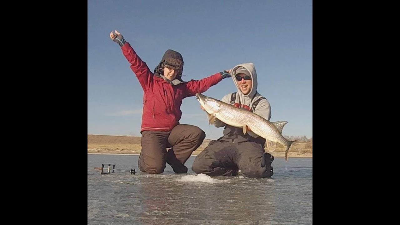 HUGE late ice PIKE on Sakakawea! (How to) 