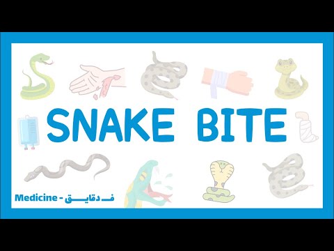   شرح عربي