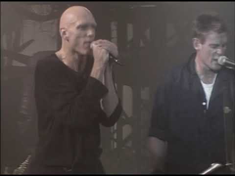 Midnight Oil -