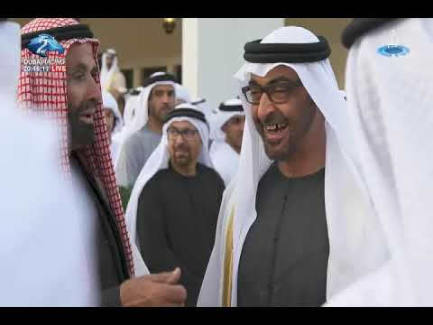 تقرير عن اسد الامارات الشيخ محمد بن زايد ال نهيان