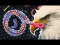 MURICA IS NUMBER 1!! | Slither.io #4