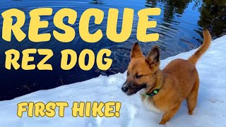 Abandoned Navajo Rez Dog Enjoying Her New Off-Grid Life - Our First Hiking and Fly Fishing Trip #dog by Off-Grid Backcountry Adventures 9,842 views 2 months ago 16 minutes