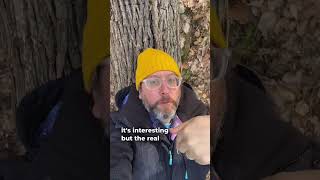 Stomp Your Feet Clap Your Hands