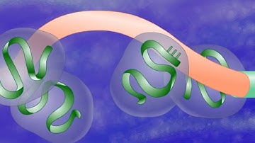 Exon Shuffling [HD Animation]