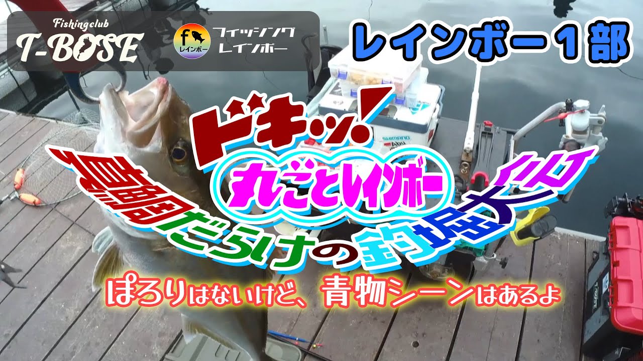 【海上釣堀】鯛ばっかりやん😢