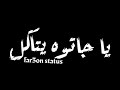اقوى حاله واتس حب لأمين خطاب وزتي وحياتي انتي يا كوكا 