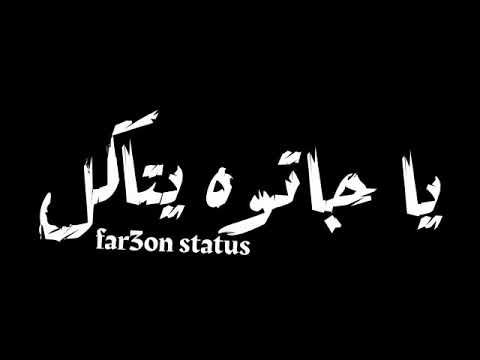 اقوى حاله واتس حب لأمين خطاب وزتي وحياتي انتي يا كوكا 