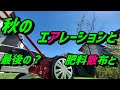 【芝生】　秋の、最後の芝刈りとサッチングとエアレーションと肥料散布　とかです。
