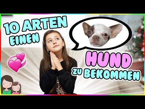 Video: 11 Dinge, die Sie mit Ihrem Hund vor ihrem fünften Geburtstag tun müssen