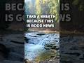 #goodnews #publicland #nationalparks #Nature #hiking #river #forest #protectnature #noplanetb