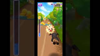 Pet Run Gameplay All Levels 2 screenshot 1