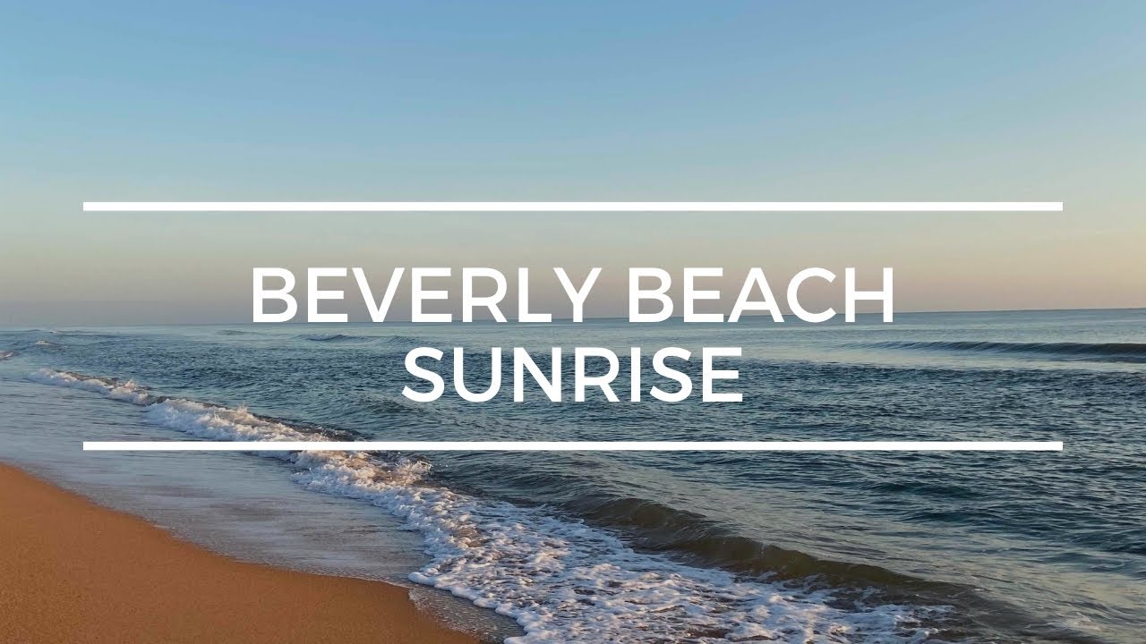 Are Dogs Allowed On Beverly Beach