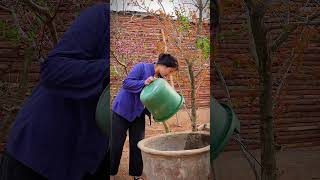 Making Ancient Lipstick From Scratch | Natural Rose Lip Paper Kaise Banaye