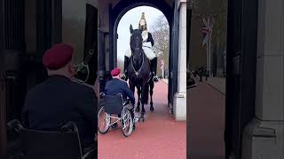 kids share heartwarming hugs with the king's guard horse!