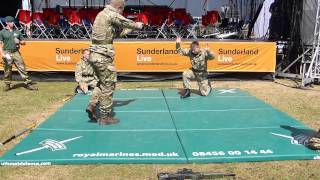 Royal Marines Unarmed Commando Display Team Sunderland International Airshow 2013