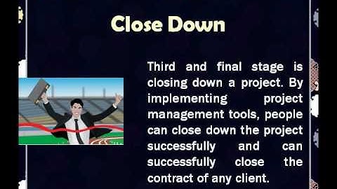 Project and Use of Project Management Tools and Techniques