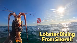 Solo Free Dive Mission: Searching for our SuperBowl Appetizer {Catch & Cook}