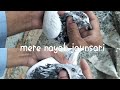 Mere nayab jaunsari/MK Best Pigeons 