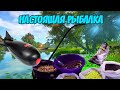 РУССКАЯ РЫБАЛКА 4 (РР4) -  НАСТОЯЩАЯ РЫБАЛКА НА КАРПА ОТ ПРИКОРМА