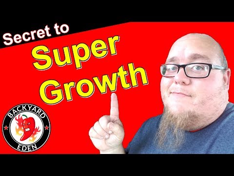 Hoe om planten te bemesten - Het geheim van de super groei