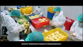 Company Profile PT  Amerta