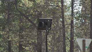 Sunriver community members calling for the removal of Flock cameras