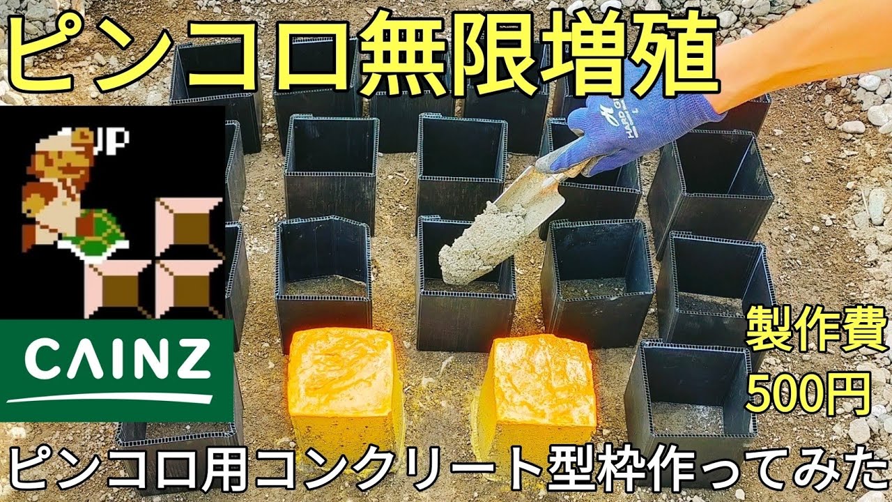 【DIY】【庭DIY】ピンコロを無限に作れるコンクリート型枠を自作してピンコロを作ってみた。