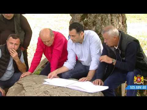 კურორტ ლებარდეში არსებულ ვითარებას სახელმწიფო რწმუნებული გაეცნო