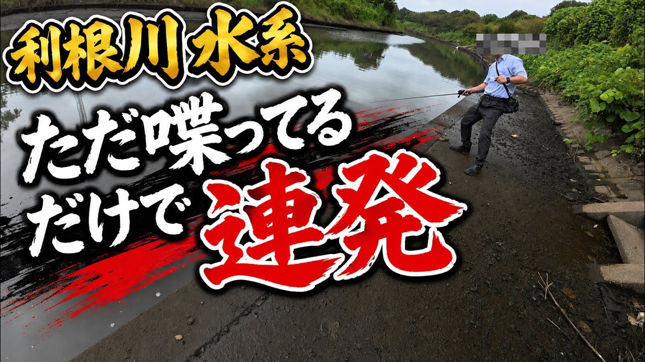 このパターンになるのがはやい？【中央排水路】