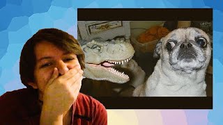 WHY WOULD YOU DO THAT? | *IF YOU LAUGH, YOU LOSE!*