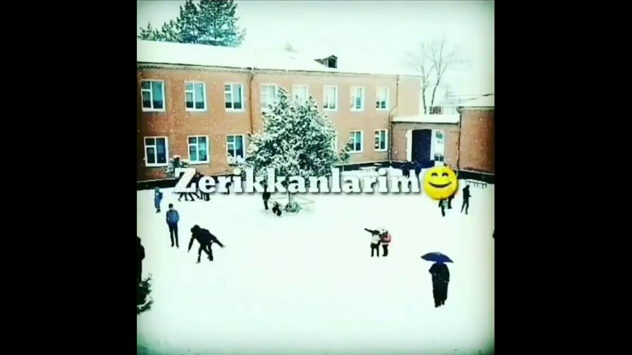 Синфдошлар хакида картинка