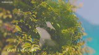 Folded Hands – Ambient Worship Guitar for Trust and Hidden Grace
