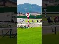 第12レース#日本#japan#horses#福島競馬場#shorts