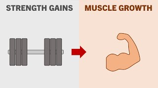 Do You Need to Get Stronger to Build Muscle?