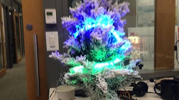 BBC micro:bit driving NeoPixel