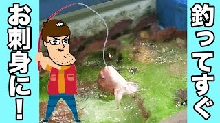 釣った魚をその場で捌いて食べるお店！ Fishing for Food