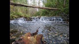 В поисках золота по Тверской области