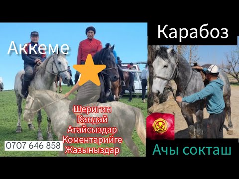 Video: Польшанын улуттук парктары