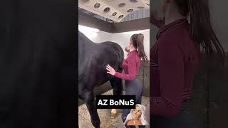 Хобби-Хорсинг: Новый Тренд для Детей и Подростков! 🐴✨