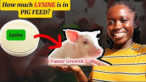 LYSINE Content per 100kg of Creep, Starter, Grower and Finisher PIG FEED