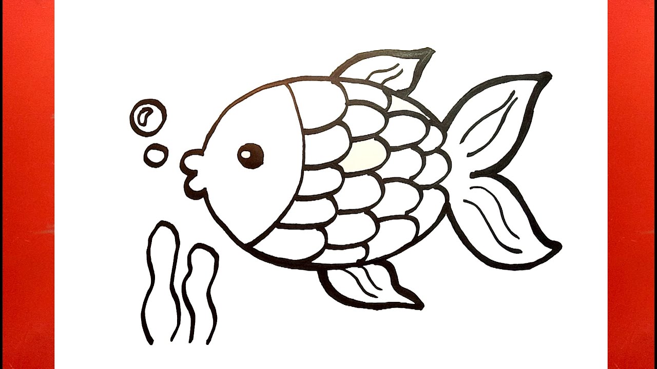 Vẽ Con Cá Hướng dẫn Vẽ tranh con cá How to draw a fish simplely    YouTube