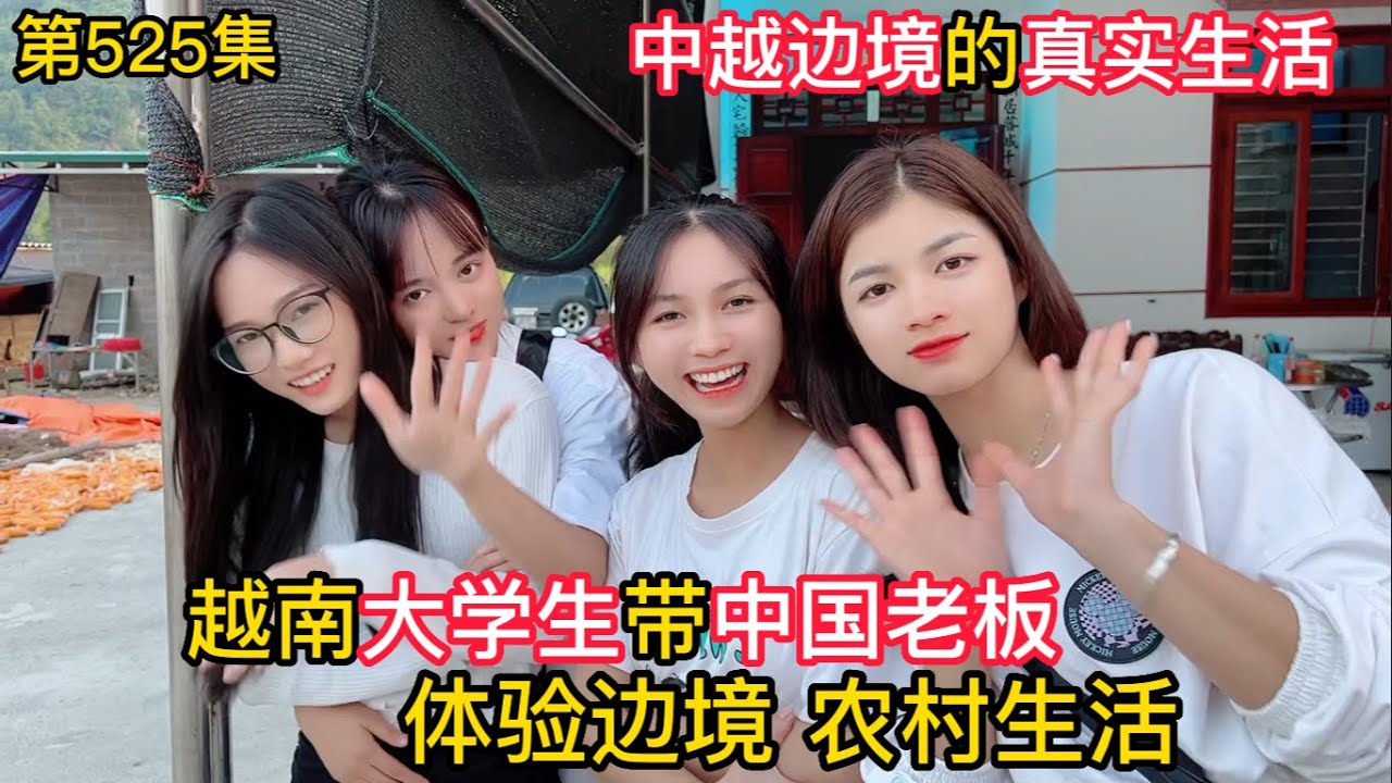 第525集，越南大學生帶中國老闆，體驗中越邊境的真實農村生活！
