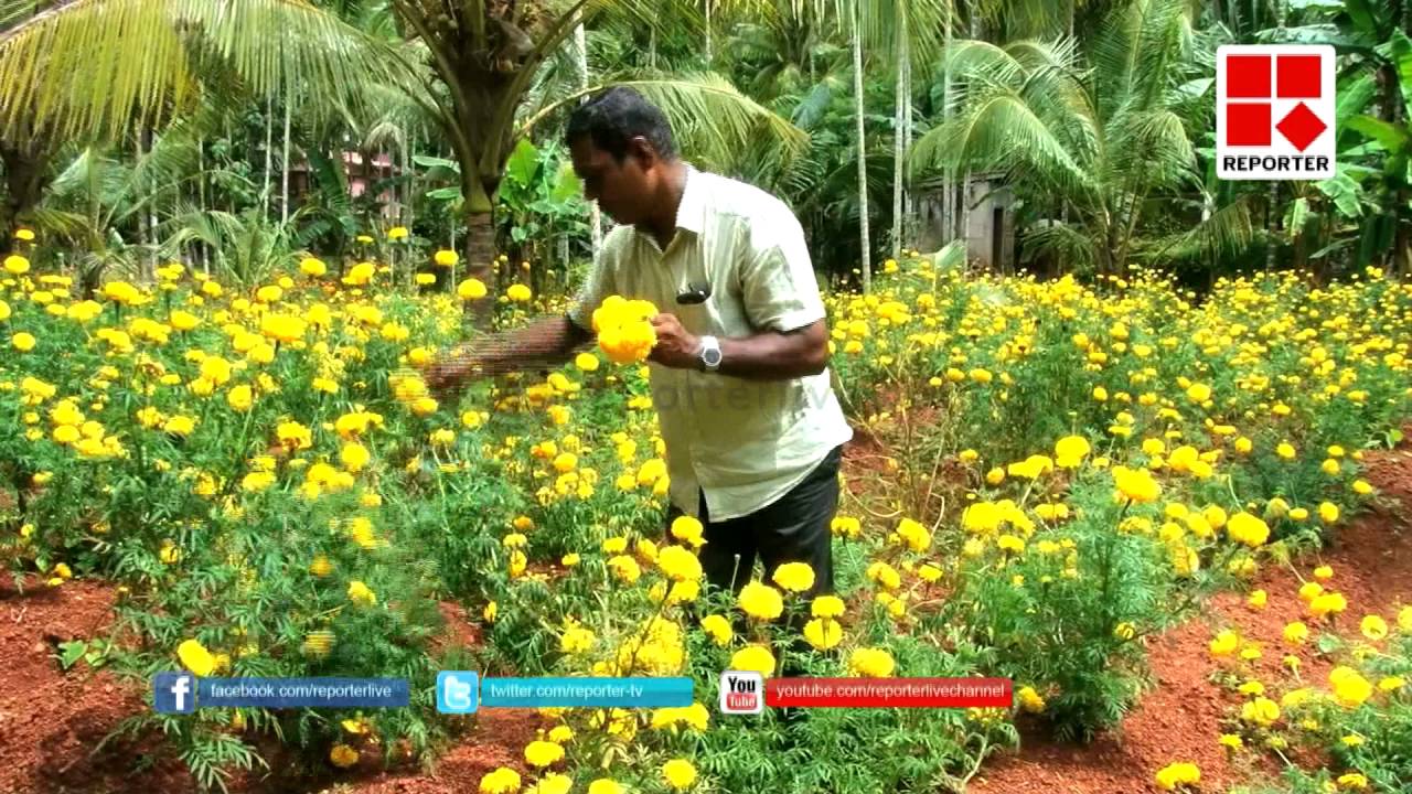 Flower garden in Calicut│Reporter Live YouTube